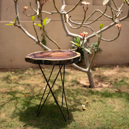Earthline Live Edge Table | Bela hand-painted by Bela